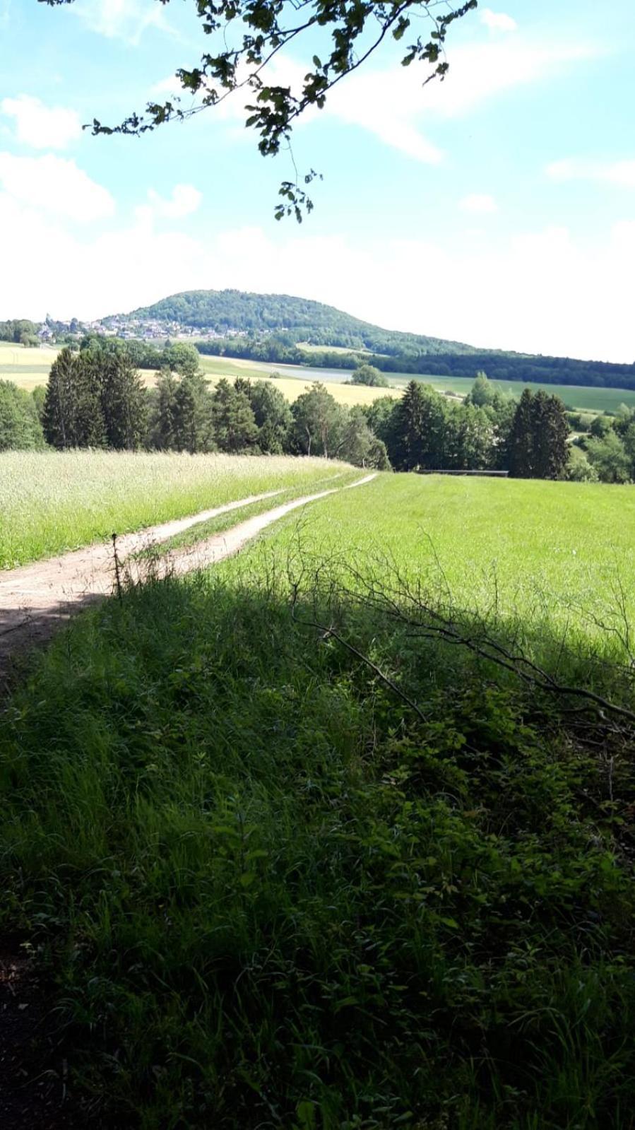 Gasthaus Zur Burgschaenke Aremberg Buitenkant foto