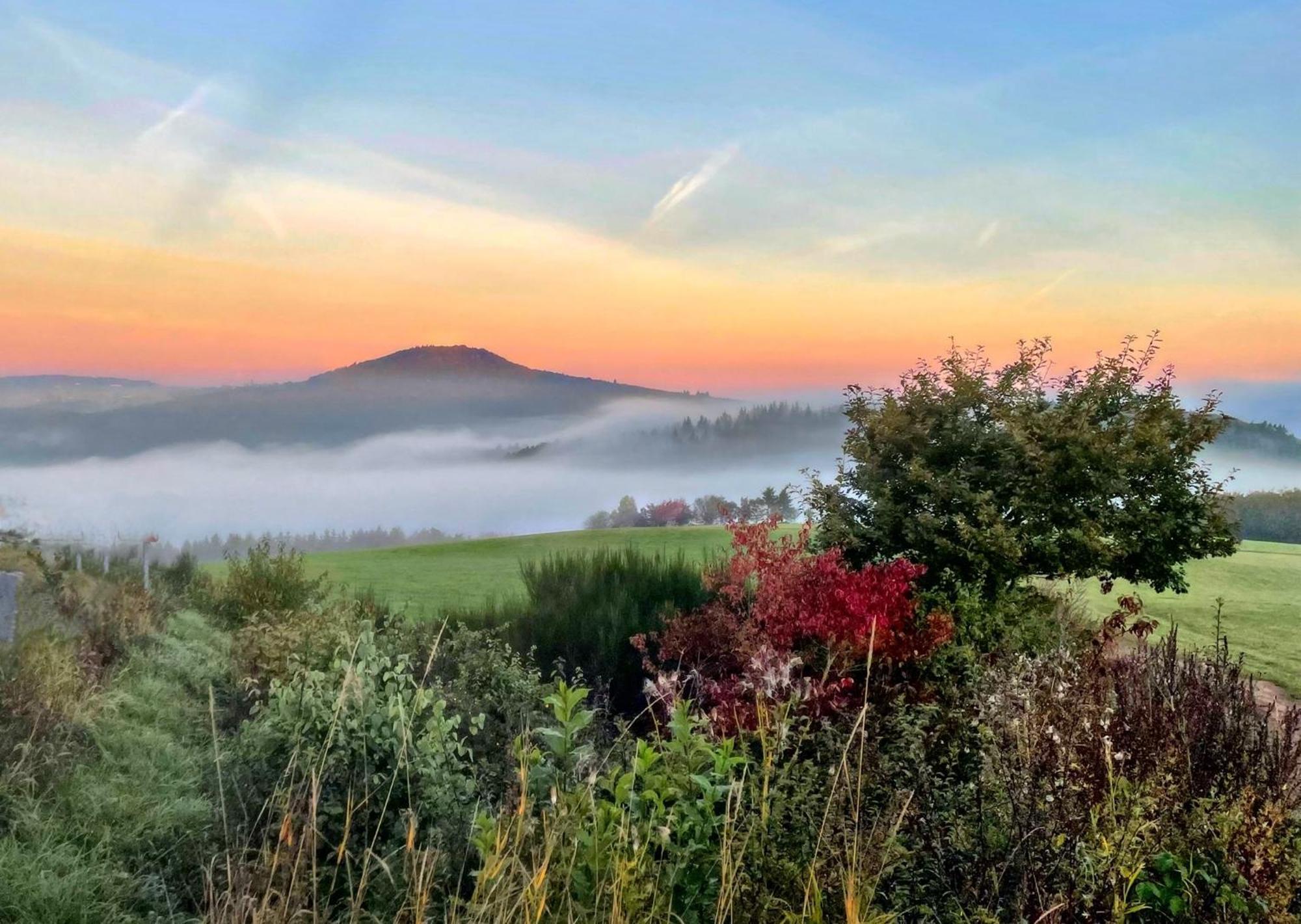 Gasthaus Zur Burgschaenke Aremberg Buitenkant foto