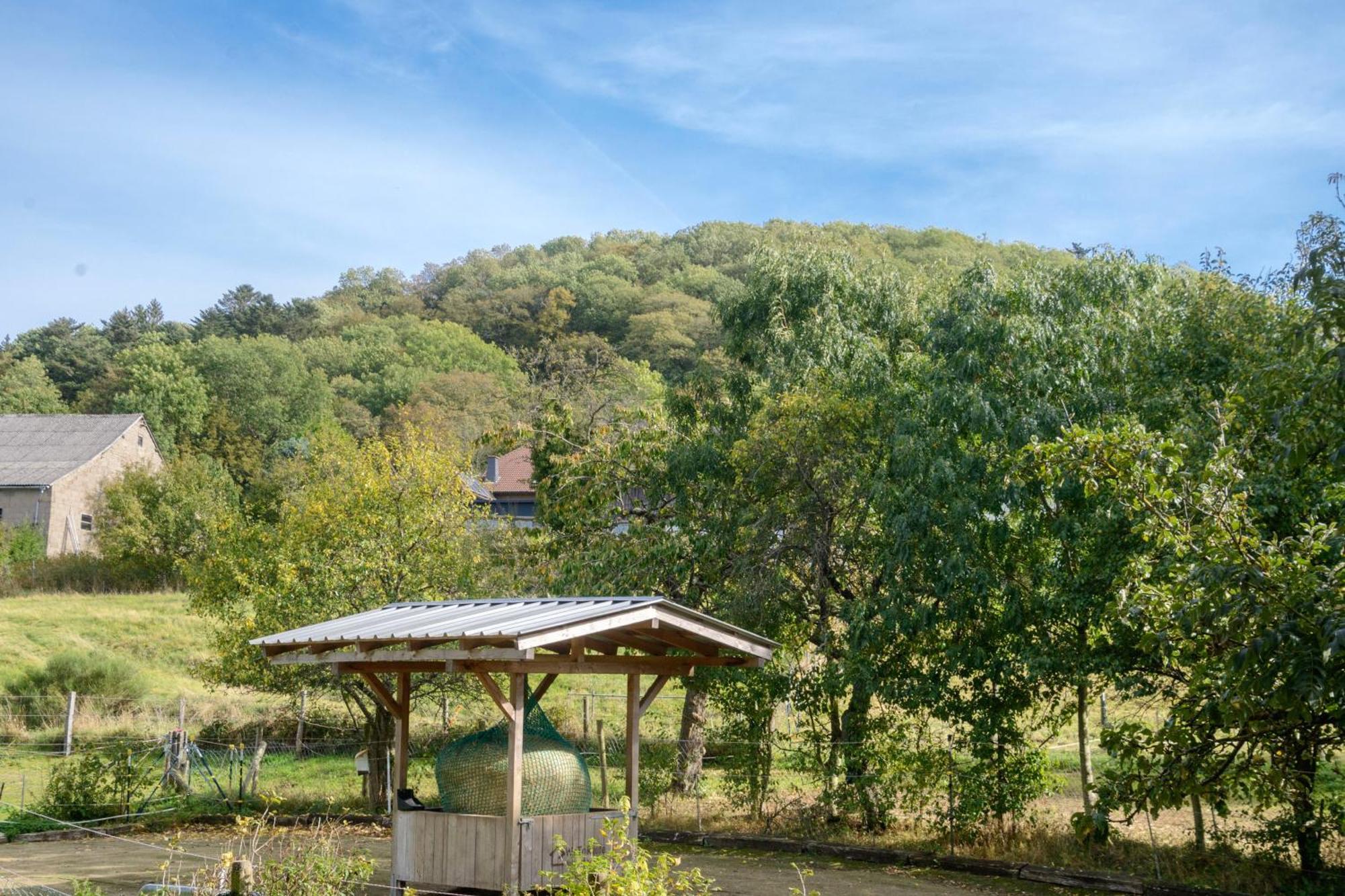 Gasthaus Zur Burgschaenke Aremberg Buitenkant foto