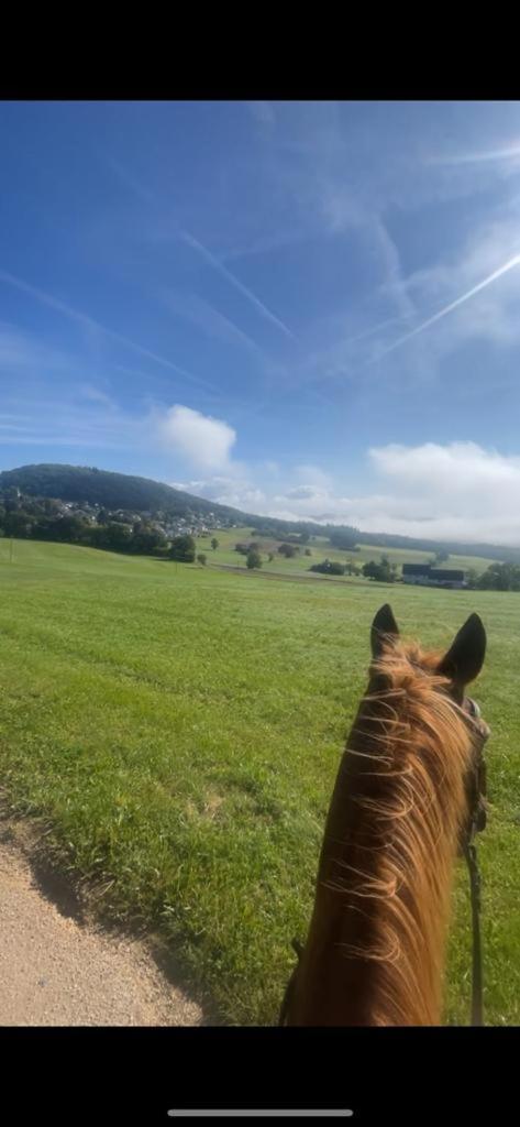 Gasthaus Zur Burgschaenke Aremberg Buitenkant foto